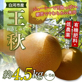 【ふるさと納税】有機肥料・低農薬栽培の梨「王秋」約4.5kg（6～15個） F21R-568