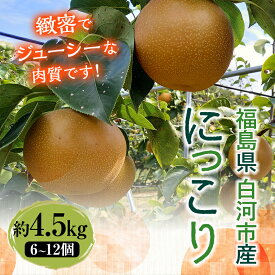 【ふるさと納税】有機肥料 低農薬栽培の梨 にっこり 約4.5kg F24R-231