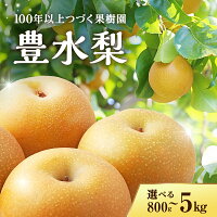 【ふるさと納税】【容量が選べる！】《2025年秋出荷》味が濃い梨 豊水 梨...