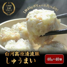 【ふるさと納税】「白河高原清流豚」をメイン食材としたしゅうまい 1個 40gとボリューム感のある一品（40個入り） F21R-869