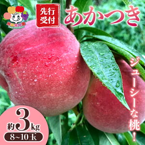 �y�ӂ邳�Ɣ[�Łz ����s�\�񁄃W���[�V�[�ȓ� ������ ��3kg�i8�`10�ʁj F21R-878