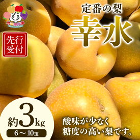 【ふるさと納税】 ＜先行予約＞定番の梨 幸水 約3kg（6～10玉） F21R-882