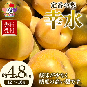 �y�ӂ邳�Ɣ[�Łz ����s�\�񁄒�Ԃ̗� �K�� ��4.8kg�i12�`16�ʁj F21R-883