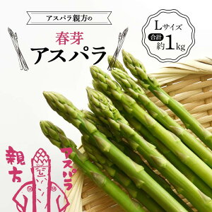 yӂ邳Ɣ[Łzss\tAXpȅtAXp LTCY v1kg F23R-614