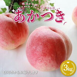 yӂ邳Ɣ[Łzy2026Noוs\z 瑱ʎ̓uv3kgiʐ܂j    ʕ  t[c  ͎s F24R-213