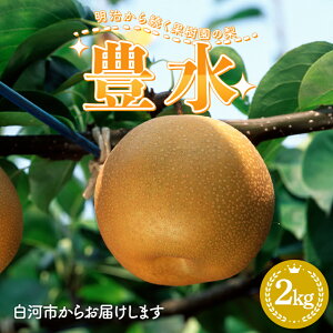 yӂ邳Ɣ[Łzy2026Noוs\z 瑱ʎ̗uLv2kgiʐ܂j  s\ Ȃ ʕ  fU[g Mtg iV Â t[c  ͎s F24R-214