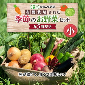 【ふるさと納税】 《有機JAS認証》 オーガニック 季節のお野菜が届く定期便（小） 年5回配送 F23R-832