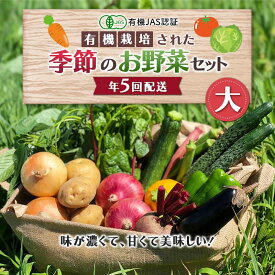 【ふるさと納税】 《有機JAS認証》 オーガニック 季節のお野菜が届く定期便（大） 年5回配送 F23R-833