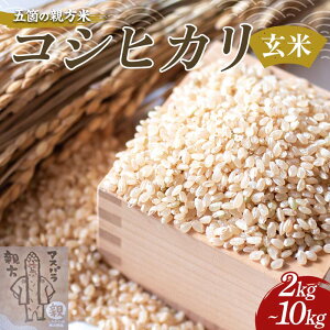 yӂ邳Ɣ[ŁzsIׂeʁtKo_ ܉ӂ̐e RVqJ 2kg 5kg 10kg F23R-947var