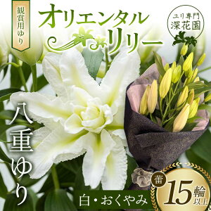 yӂ邳Ɣ[ŁzyIׂJ[z偃[ԉϏܗp IG^[ d Q15ֈȏ F23R-950var