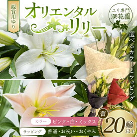 【ふるさと納税】【選べるカラー】ユリ専門＜深花園＞観賞用ゆり オリエンタルリリー 蕾20輪以上 F23R-957var