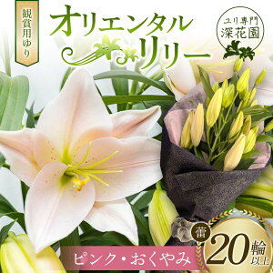 �y�ӂ邳�Ɣ[�Łz�y�I�ׂ�J���[�z������偃�[�ԉ����Ϗܗp��� �I���G���^�������[ �Q20�ֈȏ� F23R-957var