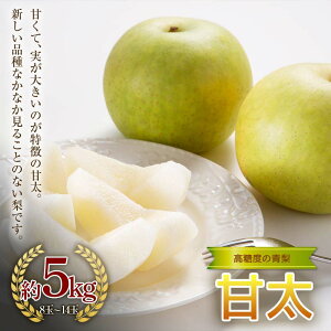 yӂ邳Ɣ[Łzs2026NHoׁtx̐@Ñ@5kgi8`14ʁj F24R-124