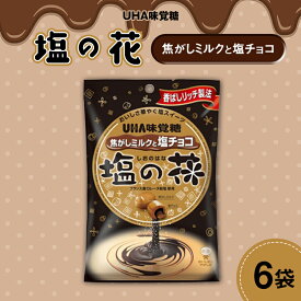 【ふるさと納税】UHA味覚糖 塩の花 焦がしミルクと塩チョコ 6パック入り キャンディ お菓子 あめ アメ飴 菓子 食品 F24R-130