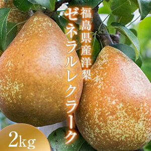 yӂ邳Ɣ[Łz_@󏭂ȗm[lN[N2kg(4`6)@̗m F7X-0025