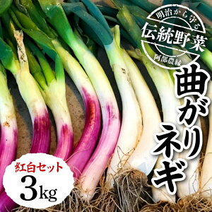 yӂ邳Ɣ[Łz`؁uȂlM gZbgv3kg F7X-0073