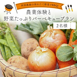 yӂ邳Ɣ[Łz_̍̂ꂽĖ؂BBQ!_Ƒ̌Ɩ؂Ղo[xL[v 2l F7X-0085