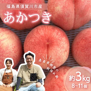 yӂ邳Ɣ[Łzst Í։ʎ̓uv3kgi8`11j    fU[g t[c ʕ  ʎ Hi F7X-0139