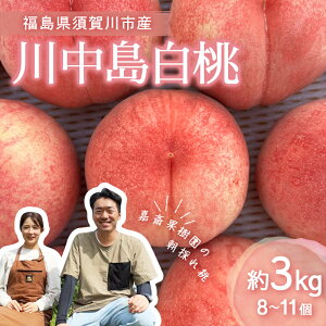 yӂ邳Ɣ[Łzst Í։ʎ̓u쒆v3kgi8`11j    fU[g t[c ʕ  ʎ Hi F7X-0141