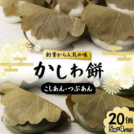 【ふるさと納税】創業から人気の味 かしわ餅20個セット（こしあん・つぶあん） 柏餅 かしわ餅 もち こしあん つぶあん 和菓子 F7X-0147