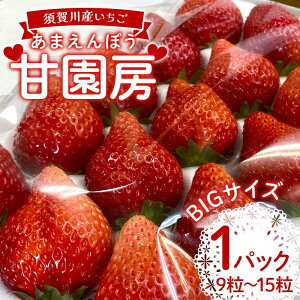 yӂ邳Ɣ[Łz{YuÉ[`܂ڂ`vBIGTCY 1pbN(9`15)  C`S  fU[g t[c ʕ  ʎ Hi F7X-0155