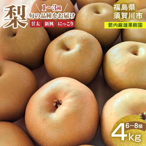 yӂ邳Ɣ[Łz Ñ V ɂ 1`3 4kg 6`8 Yʎ F7X-0224