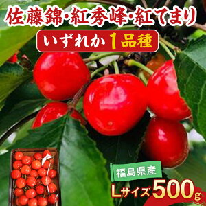 yӂ邳Ɣ[Łzys\z  gG gĂ܂ ǂꂩ1i 500g LTCY Lʎ F7X-0227