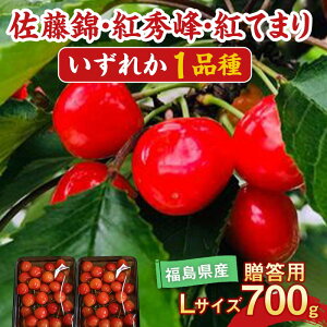 yӂ邳Ɣ[Łzys\z  gG gĂ܂ ǂꂩ1i 700g L`2LTCY p Lʎ F7X-0228