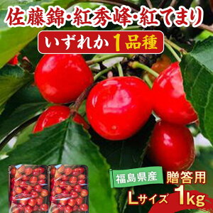 yӂ邳Ɣ[Łzys\z  gG gĂ܂̂ǂꂩ1i 1kg LTCY p Lʎ F7X-0229