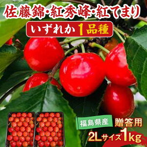 yӂ邳Ɣ[Łzys\z  gG gĂ܂̂ǂꂩ1i 1kg 2LTCY p Lʎ F7X-0230