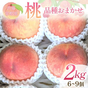 yӂ邳Ɣ[Łz i킨܂ 2kg 6`9   v[g ʎ   fU[g t[c ʕ F7X-0280