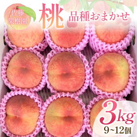 【ふるさと納税】【先行予約】桃 品種おまかせ 3kg 9～12個 もも 贈答 プレゼント ＜佐藤果樹園＞ モモ 桃 デザート フルーツ 果物 F7X-0281