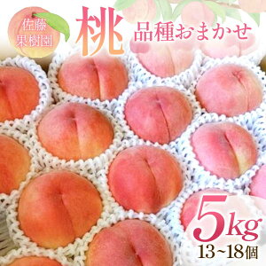 yӂ邳Ɣ[Łz i킨܂ 5kg 13`18   v[g ʎ   fU[g t[c ʕ F7X-0282