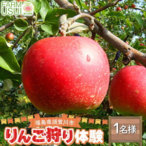 yӂ邳Ɣ[Łz񂲎̌1lli45EHוj ̌ S ʕ S  ь fU[g t[c ʕ  F7X-0478