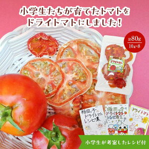 yӂ邳Ɣ[ŁzyԌzycw×ӂ邳Ɣ[Łzw܂IAtKjX^ɃhZ𑡂IcquhhCg}g80gi10g×8܁jg}g Ƃ܂ hCg}