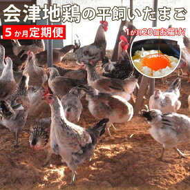 【ふるさと納税】会津地鶏卵定期便（1箱20個）5ヶ月間 計100個 卵【07208-0171】