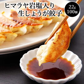 【ふるさと納税】ヒマラヤ岩塩入り生しょうが餃子(22g×100個)　【07208-0284】