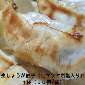 【ふるさと納税】餃子 生しょうが餃子 50個 冷凍 ヒマラヤ 岩塩 22g×50個
