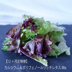 yӂ邳Ɣ[ŁzyցzJVE&|tFm[b`^XMixi12͂j@y07208-0095z