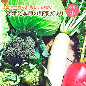 yӂ邳Ɣ[ŁzÔG߂̖؂iEtāj@y07208-0256z