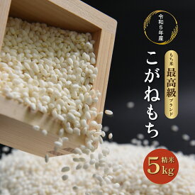 【ふるさと納税】令和5年度産 会津 喜多方産 こがねもち 5kg×1袋 もち米