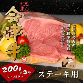 【ふるさと納税】牛肉 国産 黒毛和牛 サーロイン ステ—キ 600g 200g×3枚 A5 A4 冷凍 会津 喜多方産　【07208-0292-R】