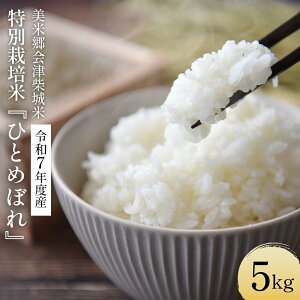 yӂ邳Ɣ[Łzߘa7NY@ċÎďā@ʍ͔|ĂЂƂ߂ڂ5kg@   GAPFؔ_Y  쑽s Ct@[@y07208-0724z