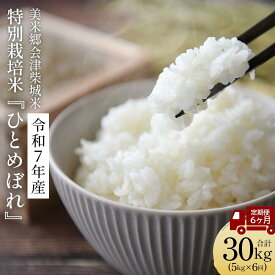 【ふるさと納税】【先行予約】特別栽培米ひとめぼれ　5kg　定期便6ケ月　（5kg×6回）　計30kg　令和7年産　美米郷会津柴城米【07208-0726】