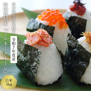 yӂ邳Ɣ[Łzߘa7NY@ċÎďā@ʍ͔|ă~L[NC[@ā@5kg@y07208-0437-Cz