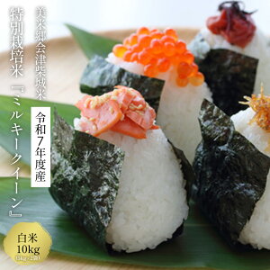 yӂ邳Ɣ[Łzys\zߘa7NY@ċÎďā@ʍ͔|ă~L[NC[@ā@10kg@y07208-0438-Cz