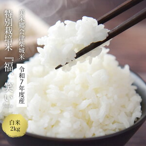 yӂ邳Ɣ[Łzߘa7NY ʍ͔|āu ΂v 2kg  gbvuh ċÎďāy07208-0439-Cz