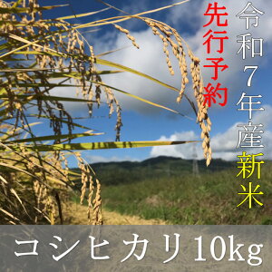 yӂ邳Ɣ[Łzߘa7NY RVqJ ys\z 10kgiߘa7N11{jy07208-0658z