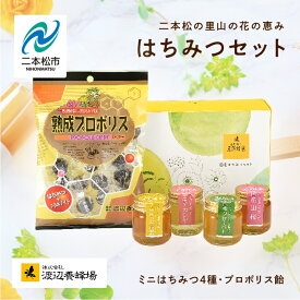 【ふるさと納税】 はちみつセットA 4種のはちみつ 各50g入りセット はちみつ 調味料 人気 ランキング おすすめ ギフト 故郷 ふるさと 納税 福島 ふくしま 二本松市 送料無料 【道の駅「安達」智恵子の里】