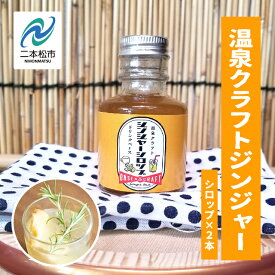 【ふるさと納税】 岳温泉発 温泉クラフトジンジャーシロップセット ドリンク 炭酸 クラフト シロップ プレゼント 人気 ランキング おすすめ ギフト 故郷 ふるさと 納税 福島 ふくしま 二本松市 送料無料 【佐藤物産】